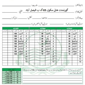 Report Card (Bleach Card With School Name PEC Pattern)